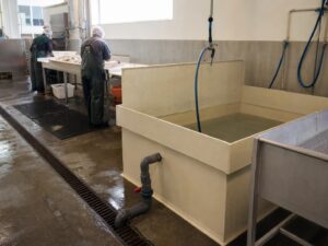 Tanque de lavado de PP en una línea de procesamiento de alimentos